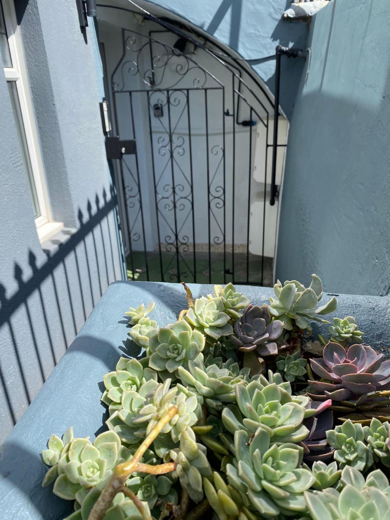 Kemptown Courtyard Apartment Okręg wyborczy Hove Zewnętrze zdjęcie